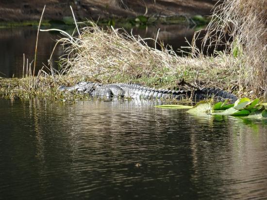 SWA Greenway Trail System
